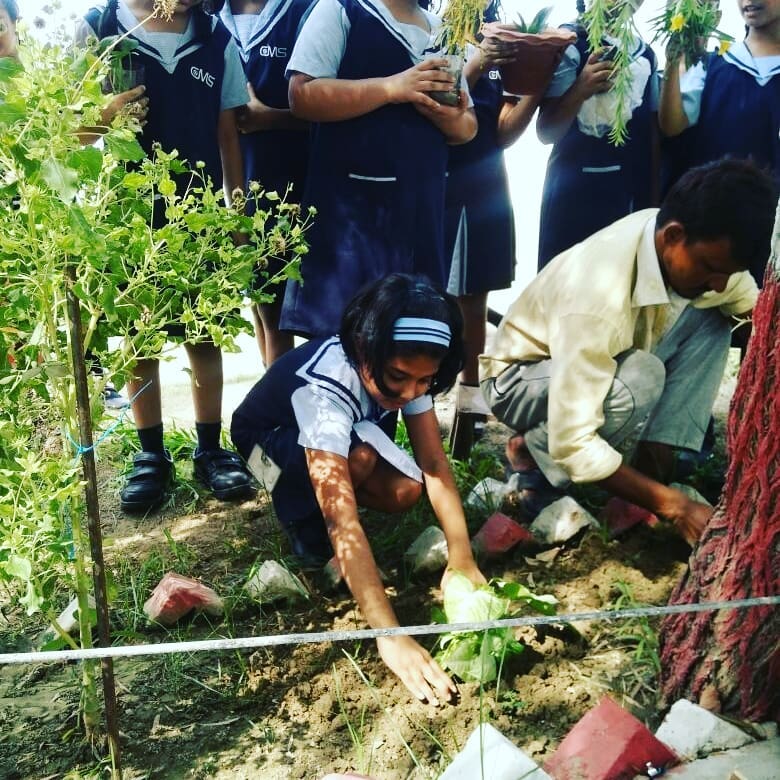 Environment