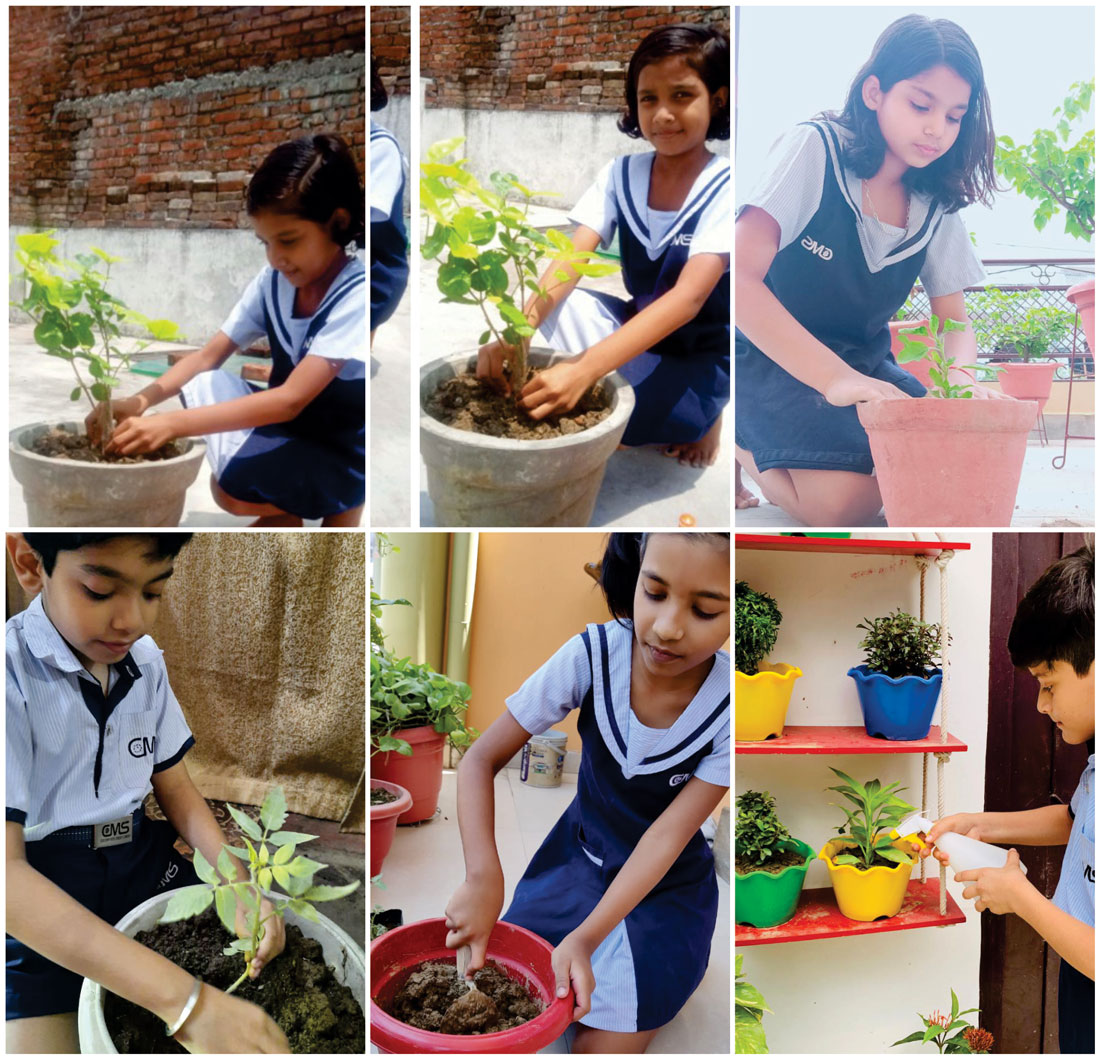 PlantationDrive VanMahotsava