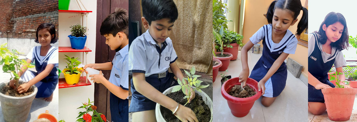 Environment Day