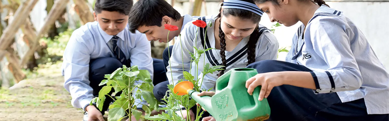 City Montessori School